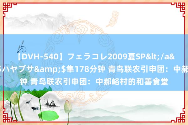 【DVH-540】フェラコレ2009夏SP</a>2010-04-25ハヤブサ&$隼178分钟 青鸟联农引申团:中郝峪村的和善食堂