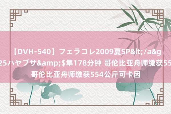 【DVH-540】フェラコレ2009夏SP</a>2010-04-25ハヤブサ&$隼178分钟 哥伦比亚舟师缴获554公斤可卡因