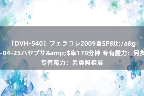 【DVH-540】フェラコレ2009夏SP</a>2010-04-25ハヤブサ&$隼178分钟 专有魔力:另类照相展
