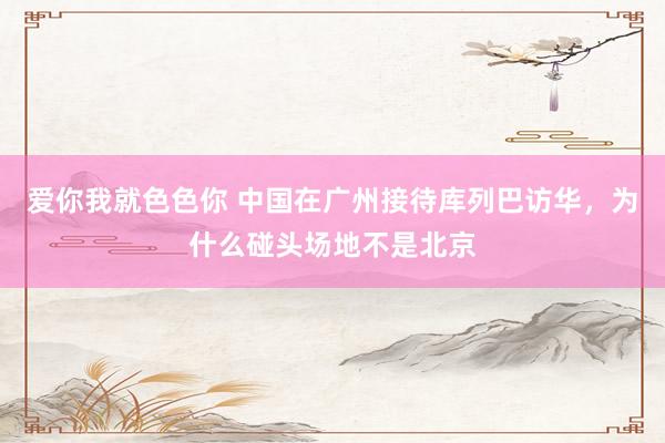 爱你我就色色你 中国在广州接待库列巴访华,为什么碰头场地不是北京