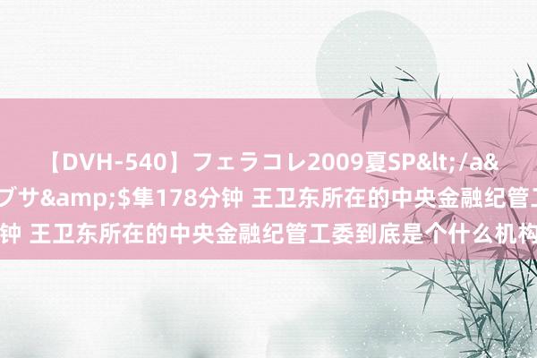 【DVH-540】フェラコレ2009夏SP</a>2010-04-25ハヤブサ&$隼178分钟 王卫东所在的中央金融纪管工委到底是个什么机构