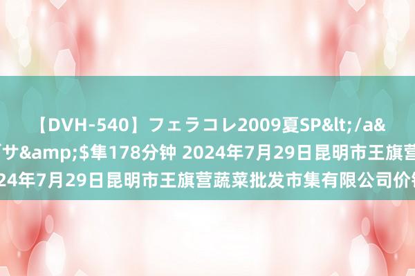 【DVH-540】フェラコレ2009夏SP</a>2010-04-25ハヤブサ&$隼178分钟 2024年7月29日昆明市王旗营蔬菜批发市集有限公司价钱行情