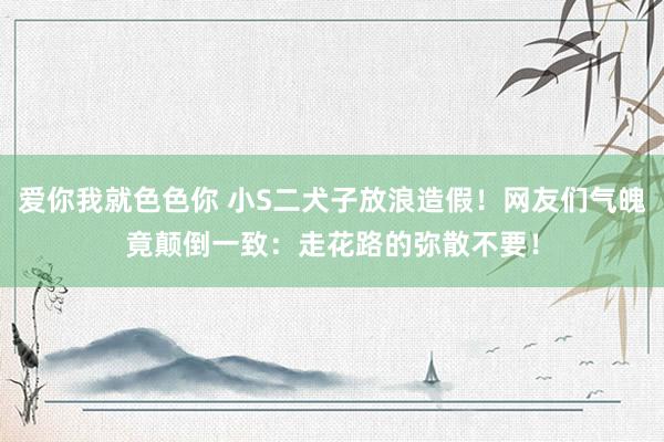 爱你我就色色你 小S二犬子放浪造假!网友们气魄竟颠倒一致:走花路的弥散不要!