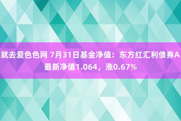 就去爱色色网 7月31日基金净值:东方红汇利债券A最新净值1.064,涨0.67%