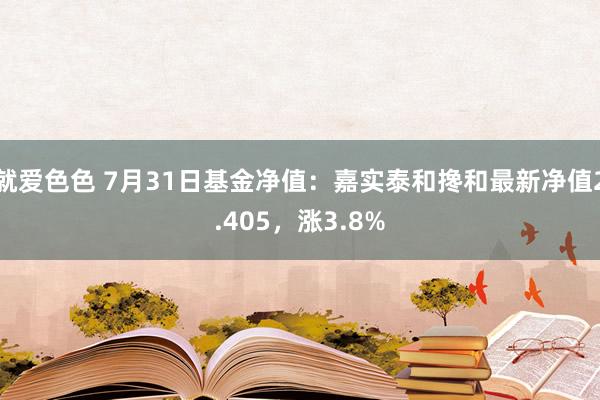 就爱色色 7月31日基金净值:嘉实泰和搀和最新净值2.405,涨3.8%