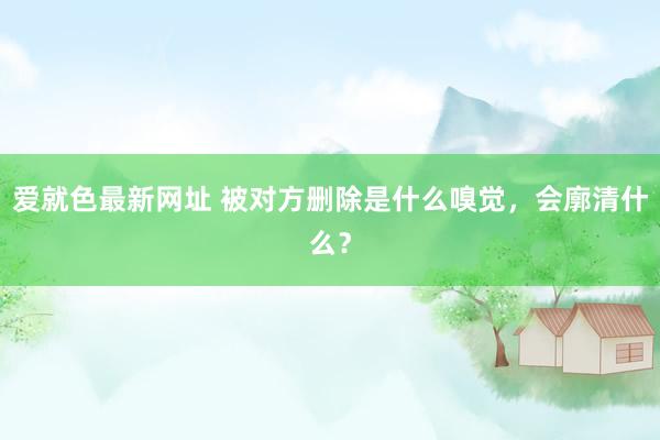 爱就色最新网址 被对方删除是什么嗅觉,会廓清什么?
