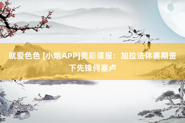 就爱色色 [小炮APP]竞彩谍报：加拉法休赛期签下先锋何塞卢