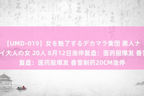 【UMD-019】女を魅了するデカマラ集団 黒人ナンパ エロくてイイ大人の女 20人 8月12日涨停复盘:医药股爆发 香雪制药20CM涨停