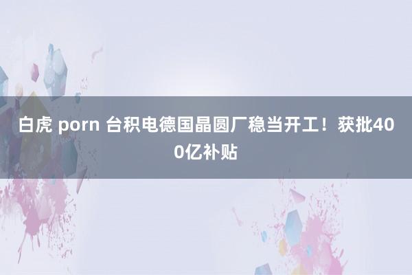 白虎 porn 台积电德国晶圆厂稳当开工!获批400亿补贴