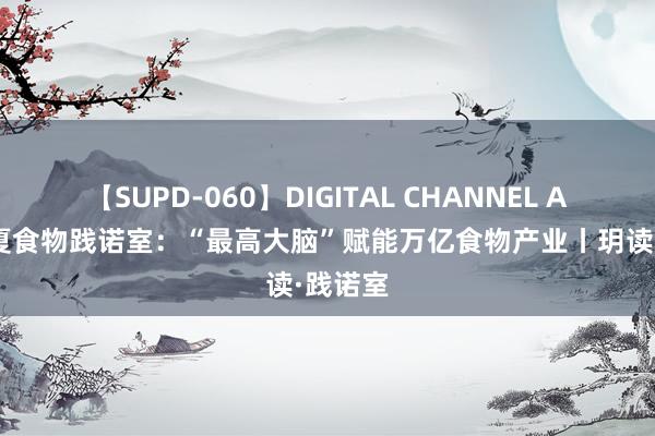 【SUPD-060】DIGITAL CHANNEL AYA 华夏食物践诺室:“最高大脑”赋能万亿食物产业丨玥读·践诺室