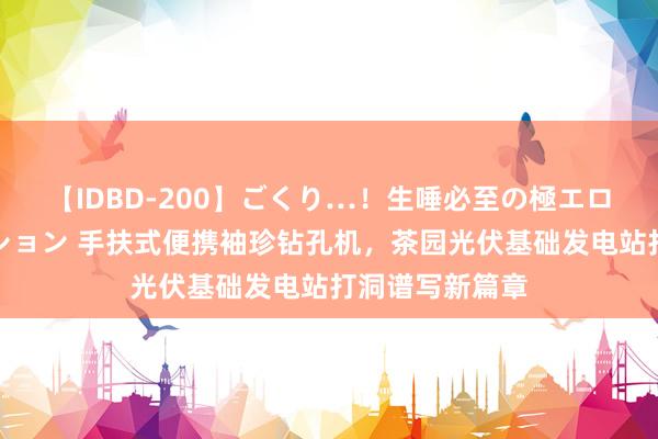 【IDBD-200】ごくり…!生唾必至の極エロボディセレクション 手扶式便携袖珍钻孔机,茶园光伏基础发电站打洞谱写新篇章