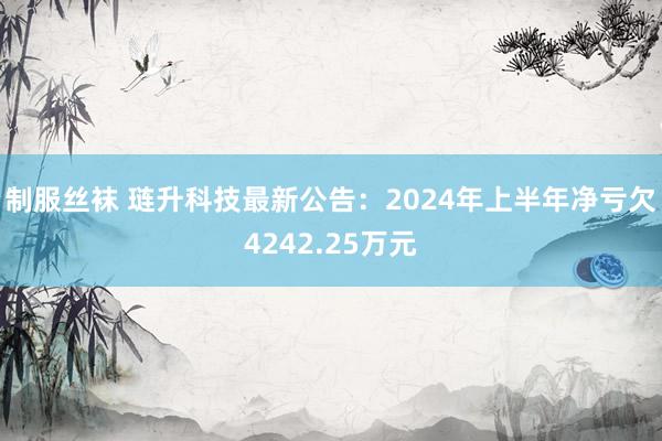 制服丝袜 琏升科技最新公告：2024年上半年净亏欠4242.25万元
