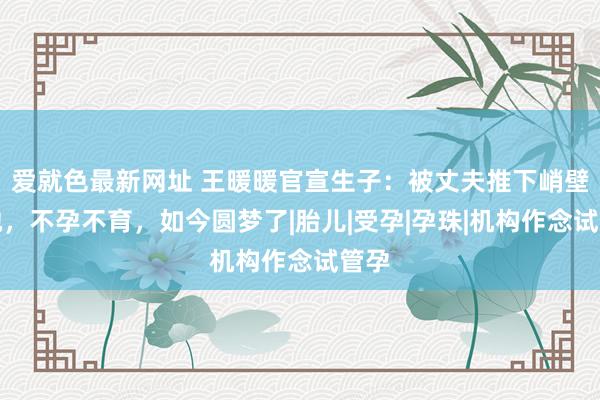 爱就色最新网址 王暖暖官宣生子:被丈夫推下峭壁的她,不孕不育,如今圆梦了|胎儿|受孕|孕珠|机构作念试管孕