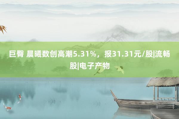 巨臀 晨曦数创高潮5.31%,报31.31元/股|流畅股|电子产物