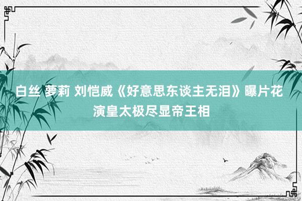 白丝 萝莉 刘恺威《好意思东谈主无泪》曝片花 演皇太极尽显帝王相