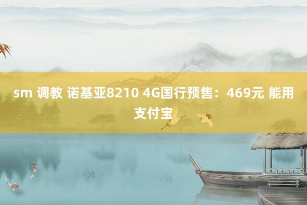 sm 调教 诺基亚8210 4G国行预售：469元 能用支付宝