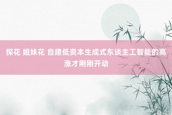 探花 姐妹花 自建低资本生成式东谈主工智能的高涨才刚刚开动