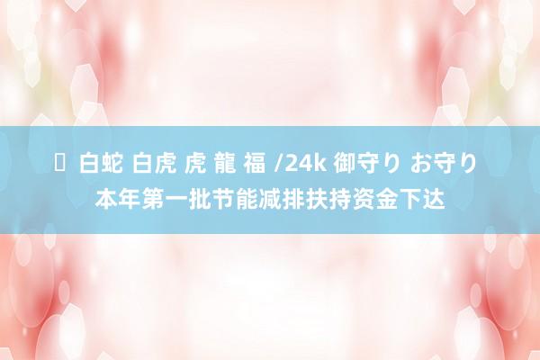 ✨白蛇 白虎 虎 龍 福 /24k 御守り お守り 本年第一批节能减排扶持资金下达