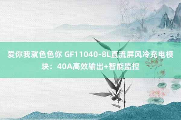 爱你我就色色你 GF11040-8L直流屏风冷充电模块：40A高效输出+智能监控