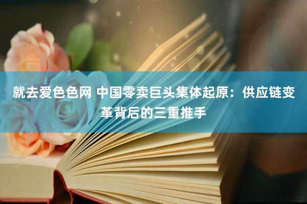 就去爱色色网 中国零卖巨头集体起原：供应链变革背后的三重推手