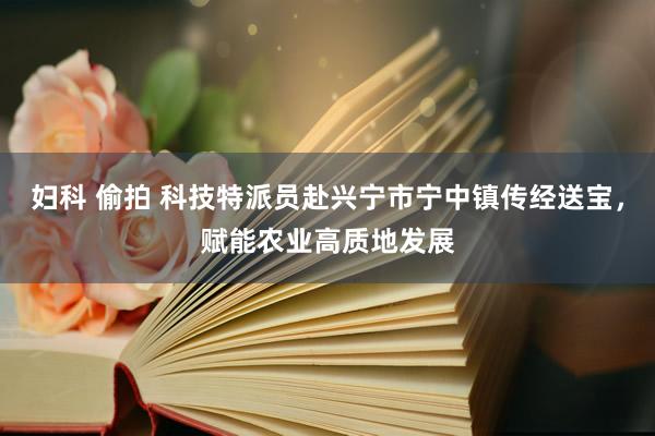 妇科 偷拍 科技特派员赴兴宁市宁中镇传经送宝,赋能农业高质地发展