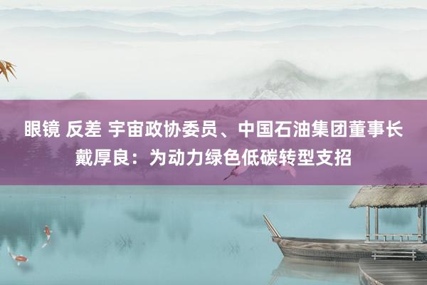 眼镜 反差 宇宙政协委员、中国石油集团董事长戴厚良：为动力绿色低碳转型支招