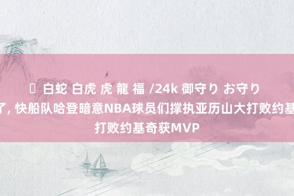 ✨白蛇 白虎 虎 龍 福 /24k 御守り お守り 有利念念了， 快船队哈登暗意NBA球员们撑执亚历山大打败约基奇获MVP