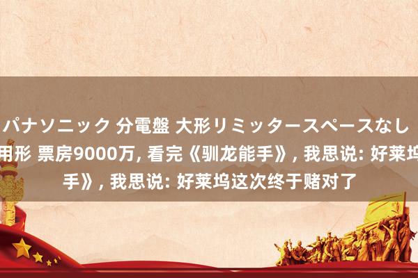 パナソニック 分電盤 大形リミッタースペースなし 露出・半埋込両用形 票房9000万， 看完《驯龙能手》， 我思说: 好莱坞这次终于赌对了