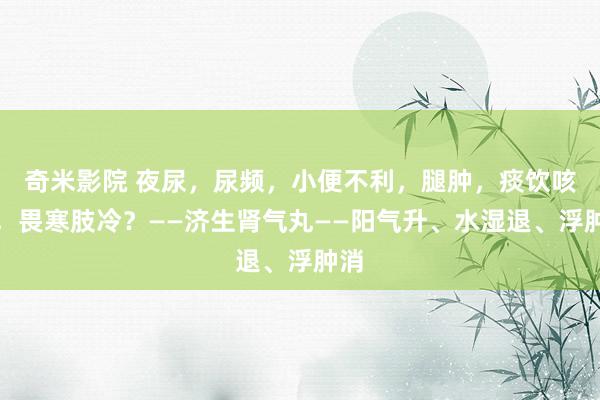 奇米影院 夜尿，尿频，小便不利，腿肿，痰饮咳喘，畏寒肢冷？——济生肾气丸——阳气升、水湿退、浮肿消